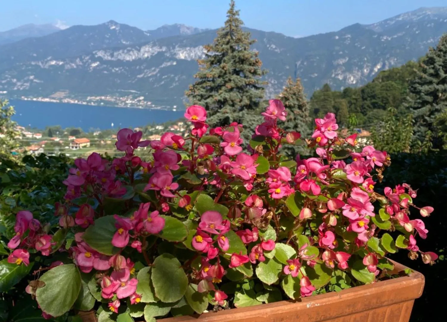 Appartement Bellagio Panorama